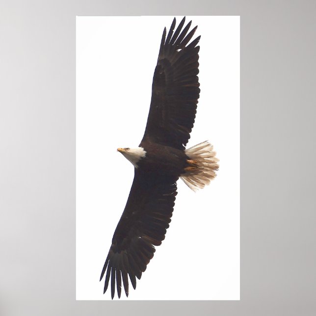 20. April 2025 Poster (Vorne)