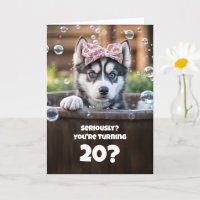 20. Geburtstag Niedlicher sibirischer Husky-Welpe