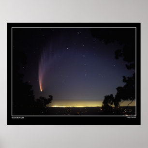 20-Grad-Staub-Schwanz Poster