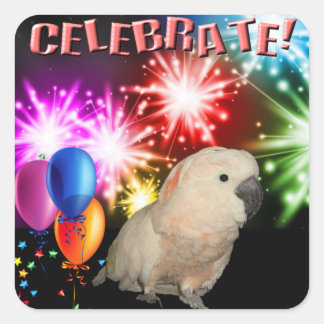 20 Moluccan Cockatoo-Aufkleber Quadratischer Aufkleber