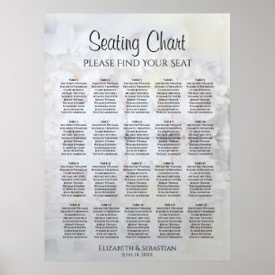 20 Tafelweiße Reflektionen Hochsitzdiagramm Poster