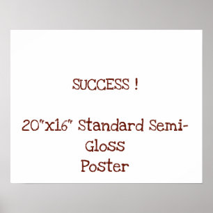 20"x16" Standard-Hochglanzposter Poster