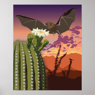 20"x16" Südwest-Bat und Saguaro Poster