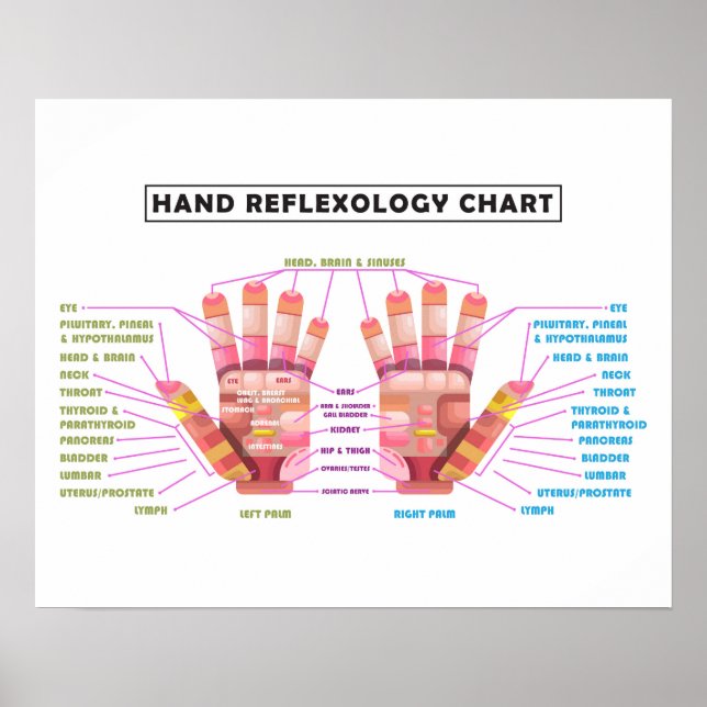 20" x 16", Handreflexologie-Poster Poster (Vorne)