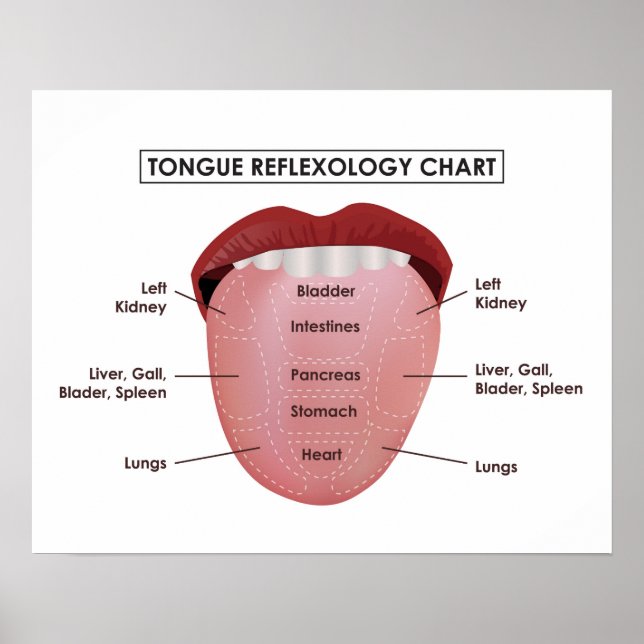 20" x 16", Tabelle der Zungenreflexologie (Matte) Poster (Vorne)