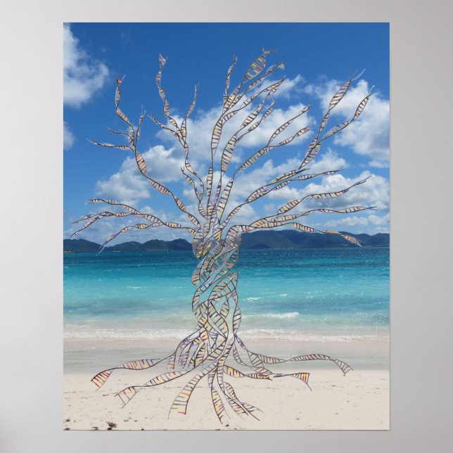 20" x 16", Value Poster Paper (Matte) (Vorne)