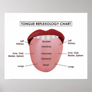 20" x 16", Zunge-Reflexzonenmassage-Diagramm Poster