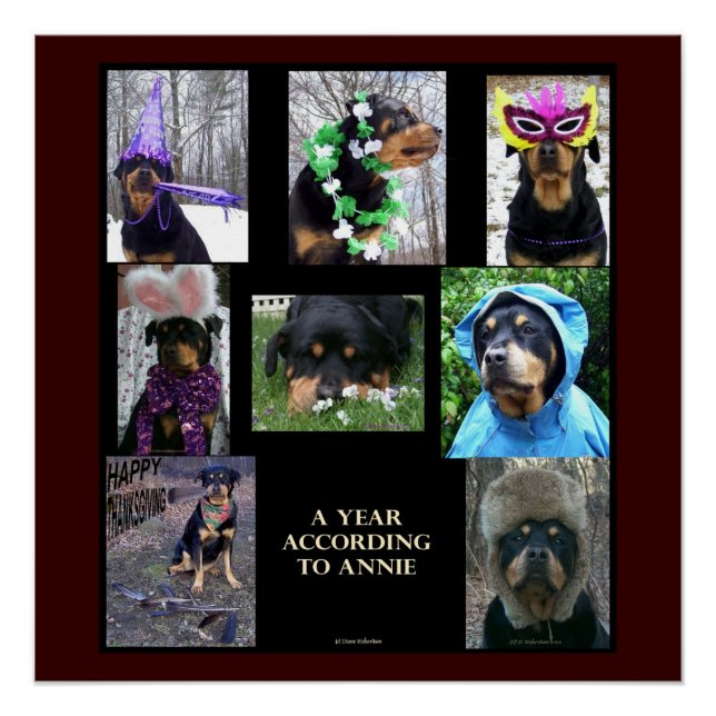 20 x 20" Poster "A Year By Annie" (Vorderseite)