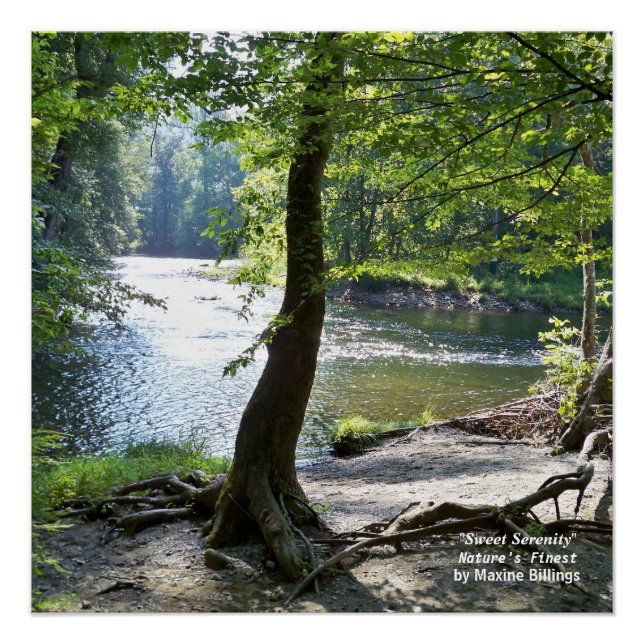 20" x 20", Poster (Semi-Glanz) (Vorderseite)