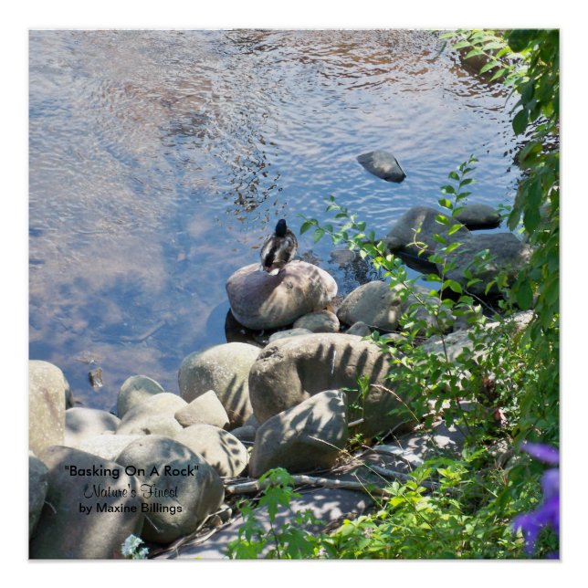 20" x 20", Poster (Semi-Glanz) (Vorderseite)