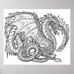 20 x 24 Farbplakat 19 Poster