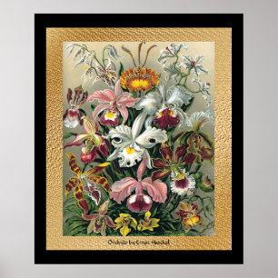 20 x 24 Schwarzes und Gold Poster