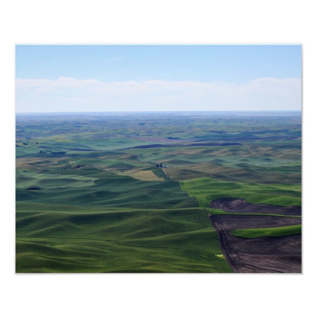 20X16 Die sanften Rollen von Palouse Hills Fotodruck (Vorne)