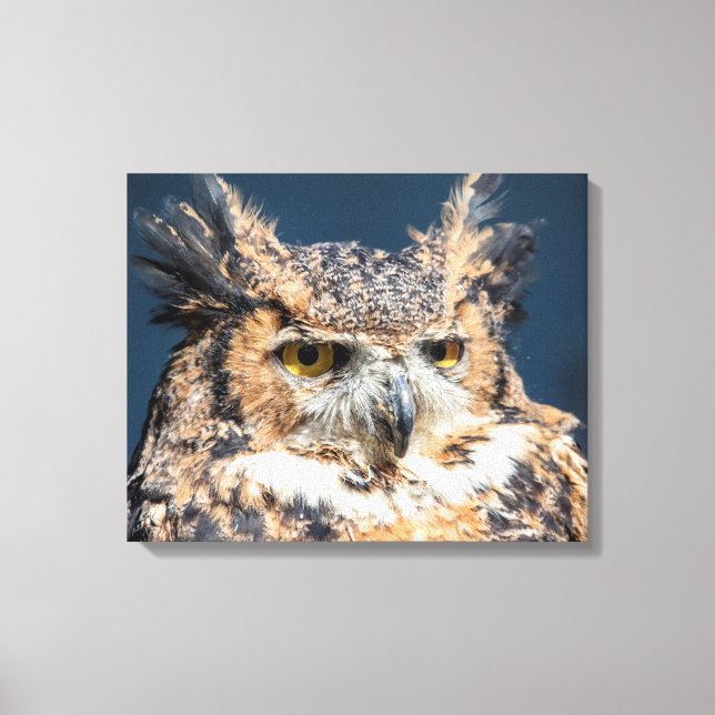 20x16 Großes Horned Owl Portrait Leinwanddruck (Vorderseite)