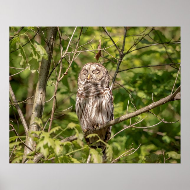 20x16 Schlampe Poster (Vorne)