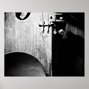 20x16 Violin-Poster - B/W Poster