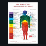 20x28 Chakra Chart: Die Roby Chart Poster<br><div class="desc">Wo Überzeugungen Ihre Anatomie beeinflussen. Für ein Poster von 20x28 konzipiert. Das Roby Chart ist ein Werkzeug, das Informationen über die Chakras, d.h. das menschliche Energiefeld, die physische Anatomie und persönliche Überzeugungen, integriert. Auf diesem schönen Poster finden Sie: * Physische Anatomie * Energieanatomie * Chakra Bedeutung, Farbe und Lage *...</div>