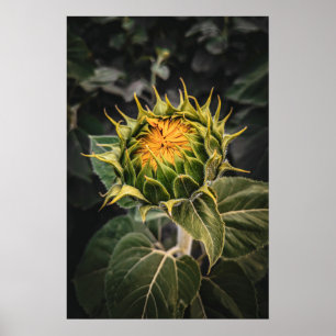 20x30-Wall-Poster Poster