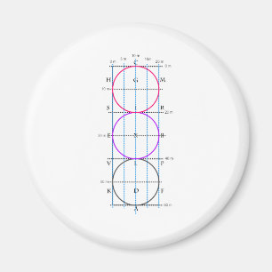 20x60m Dressur Court **Circles* Magnet