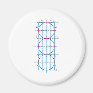 20x60m Dressur Court **Circles* Magnet