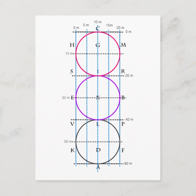 20x60m Dressur Court **Circles* Postkarte (Vorderseite)