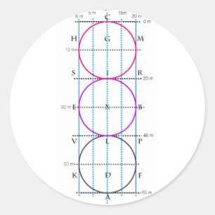 20x60m Dressur Court **Circles* Runder Aufkleber