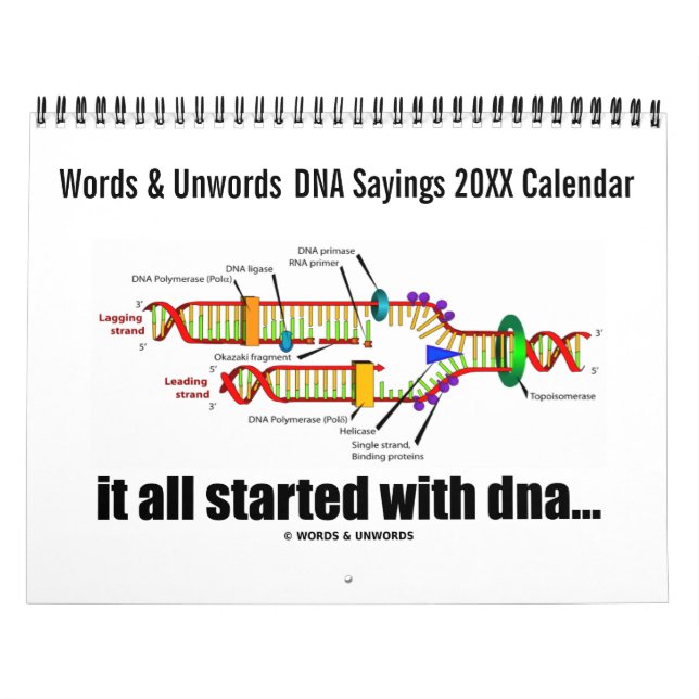 20XX DNA-Redewendungen-Kalender (DNA-Replikation S Kalender (Titelbild)