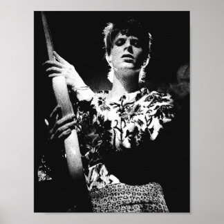 20yDBowie Ziggy Stardust Gitarren Poster Tribute
