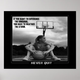 #211 (Matte) Basketball-Poster Poster
