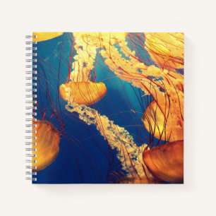 21,6 cm x 21,6 cm Spiralnotizblock Notizbuch