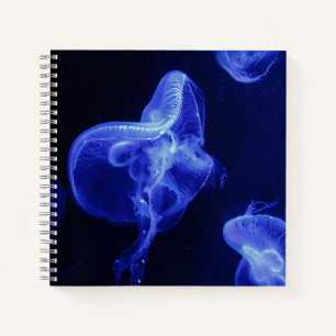 21,6 cm x 21,6 cm Spiralnotizblock Notizbuch