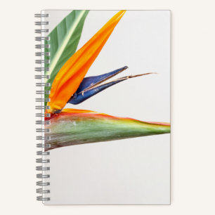 21,6 cm x 21,6 cm Spiralnotizblock Notizbuch