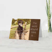 **21. GEBURTSTAG** DAS "ENDE IHRER JUGEND"