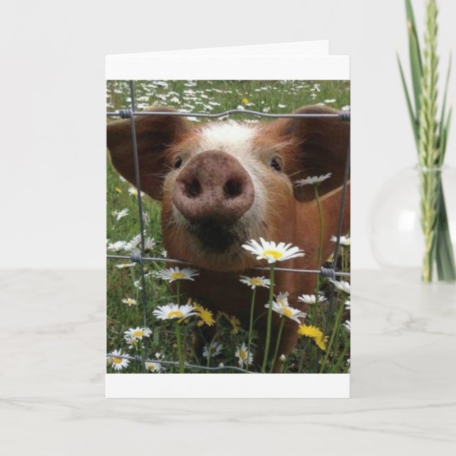 "21. GEBURTSTAG", NICHT NOSY-HOW IST ES? KARTE (Vorderseite)