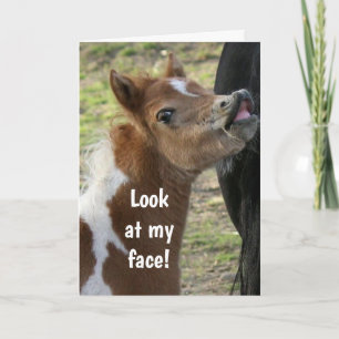 **21. GEBURTSTAG** ÜBERRASCHTER PONY KARTE