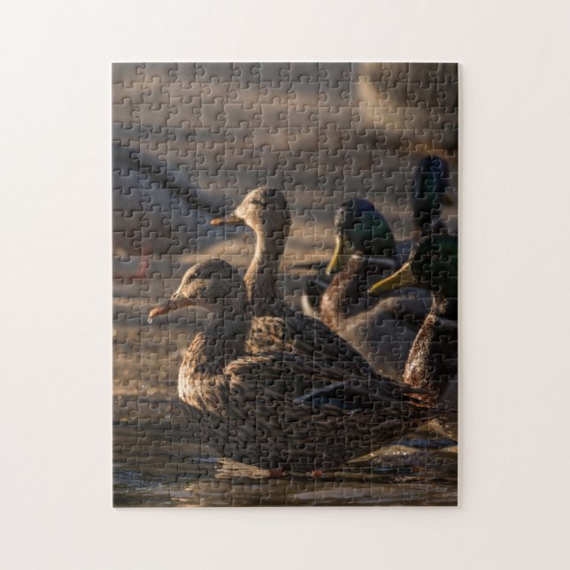 2318-Mallard-Ducks bei Weibchen im Puzzle (Vertikal)