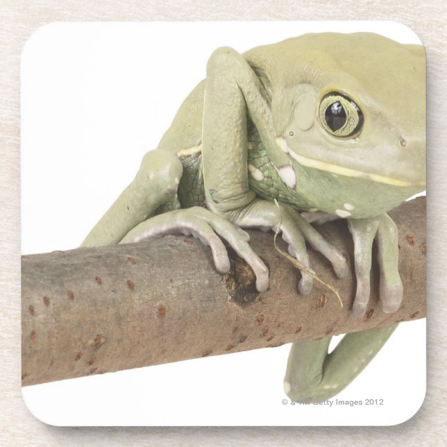 23568119 UNTERSETZER (Vorderseite)