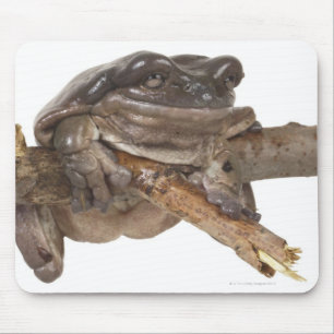23568138 MOUSEPAD