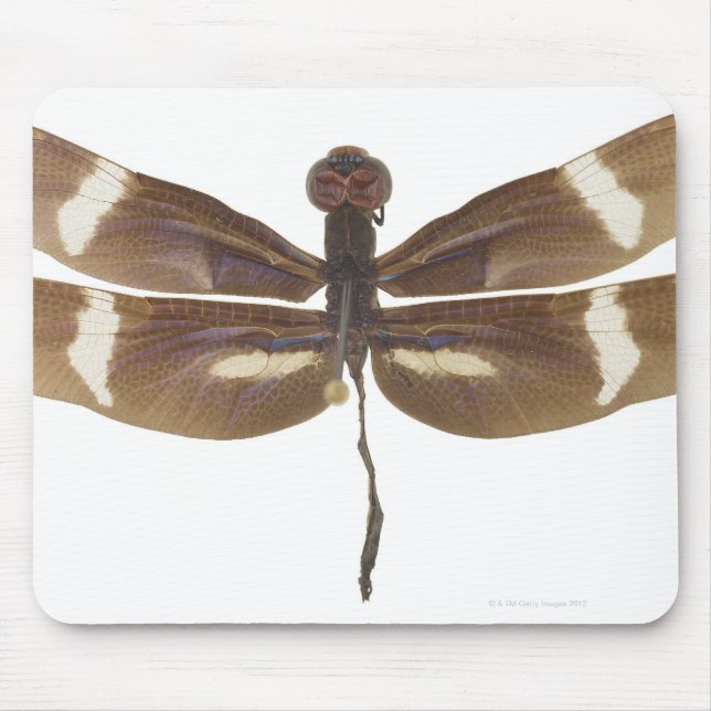 23599152 MOUSEPAD (Vorne)