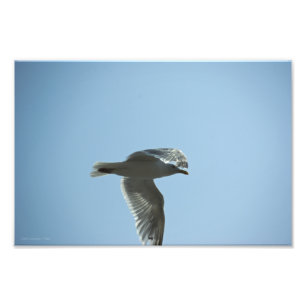 2367 FOTODRUCK