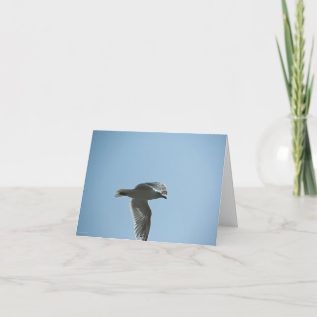 2367 KARTE (Vorderseite)