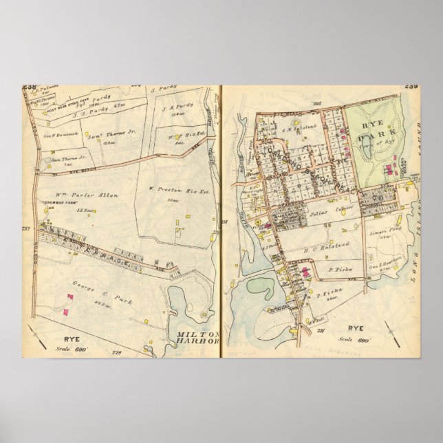 238239 Roggen Poster (Vorne)