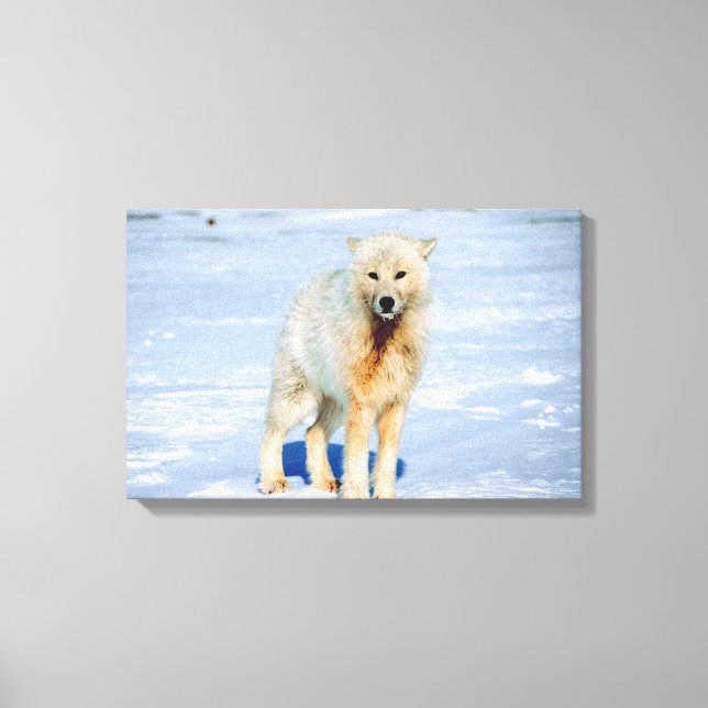 23872553 LEINWANDDRUCK (Vorderseite)