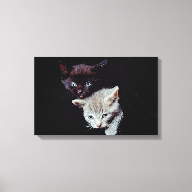 23893007 LEINWANDDRUCK (Vorderseite)