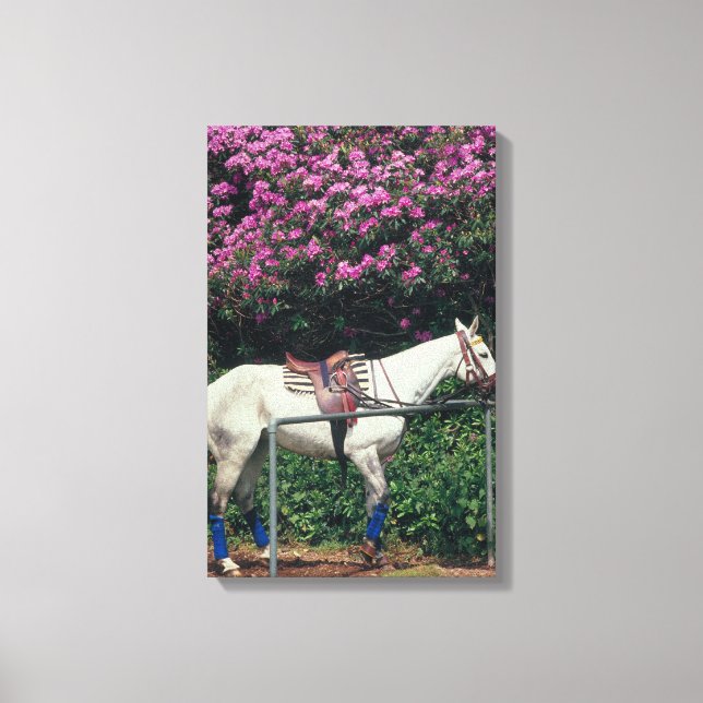 23893981 LEINWANDDRUCK (Vorderseite)