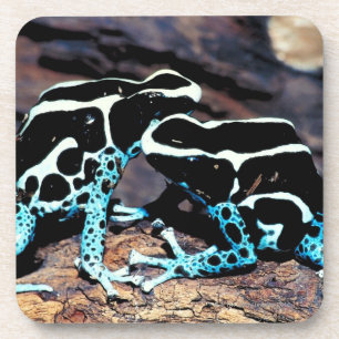 23898179 GETRÄNKEUNTERSETZER