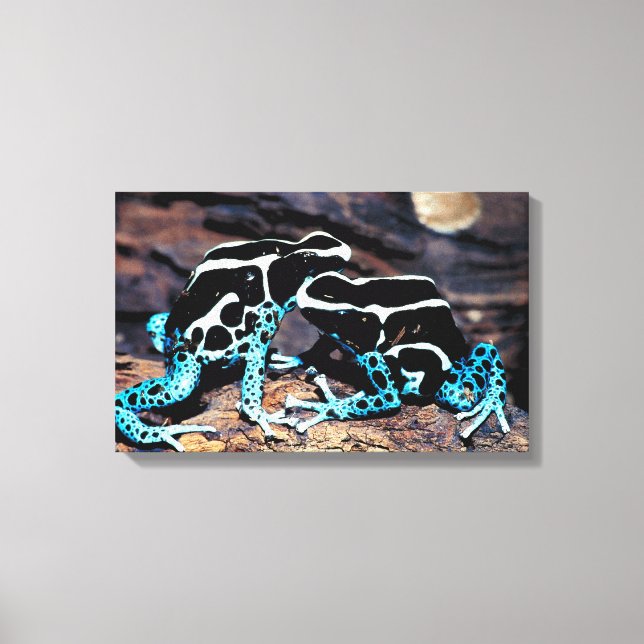 23898179 LEINWANDDRUCK (Vorderseite)