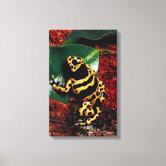 23898189 LEINWANDDRUCK (Vorderseite)