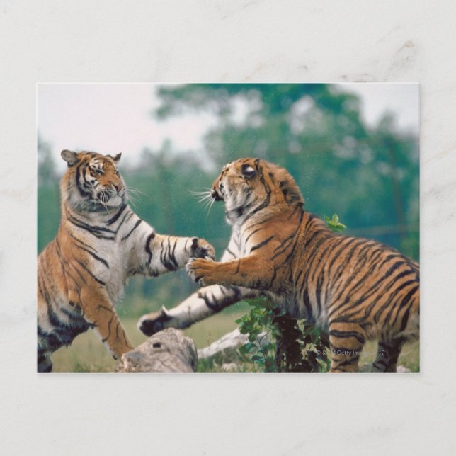 23899157 POSTKARTE (Vorderseite)