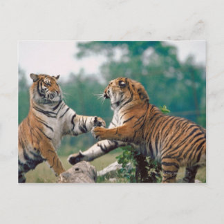 23899157 POSTKARTE